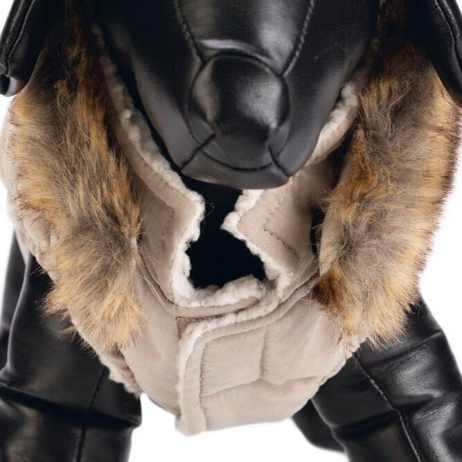 Hundemantel Philos Bild 3