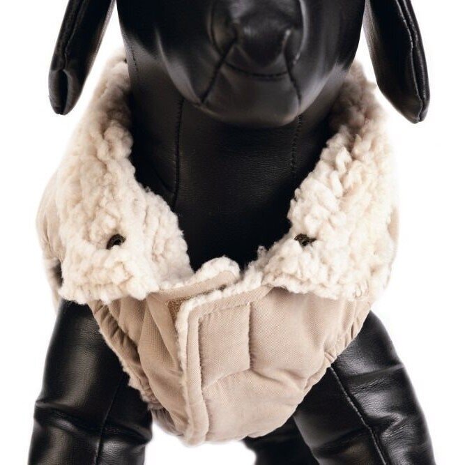 Hundemantel Philos Bild 4