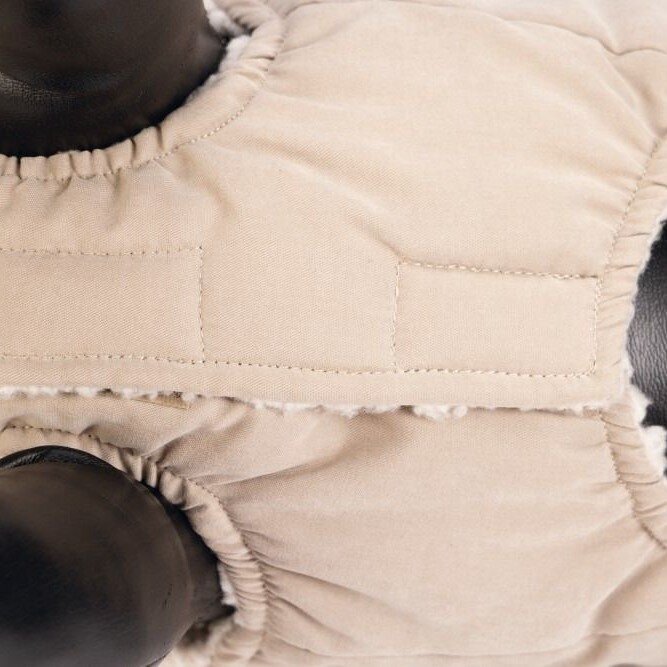 Hundemantel Philos Bild 5