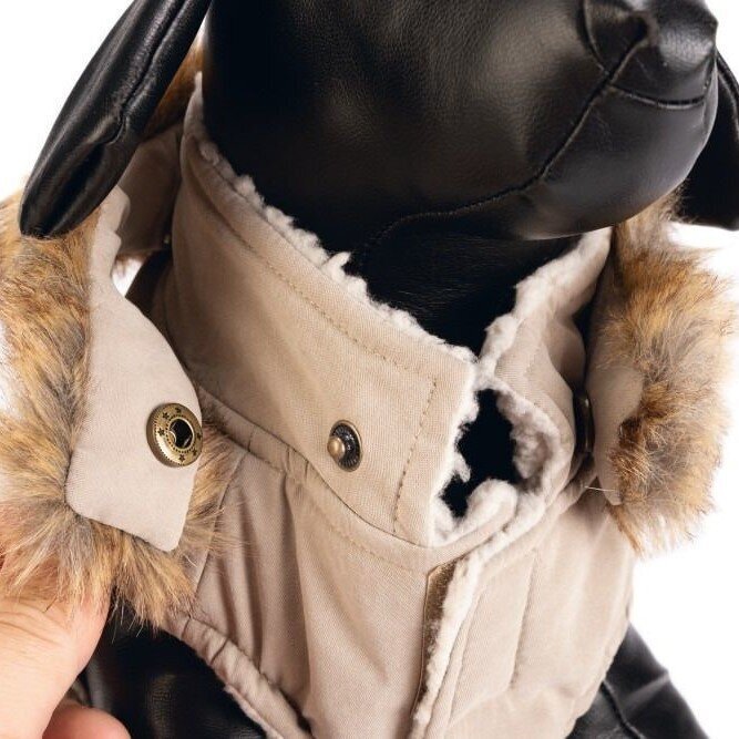 Hundemantel Philos Bild 8