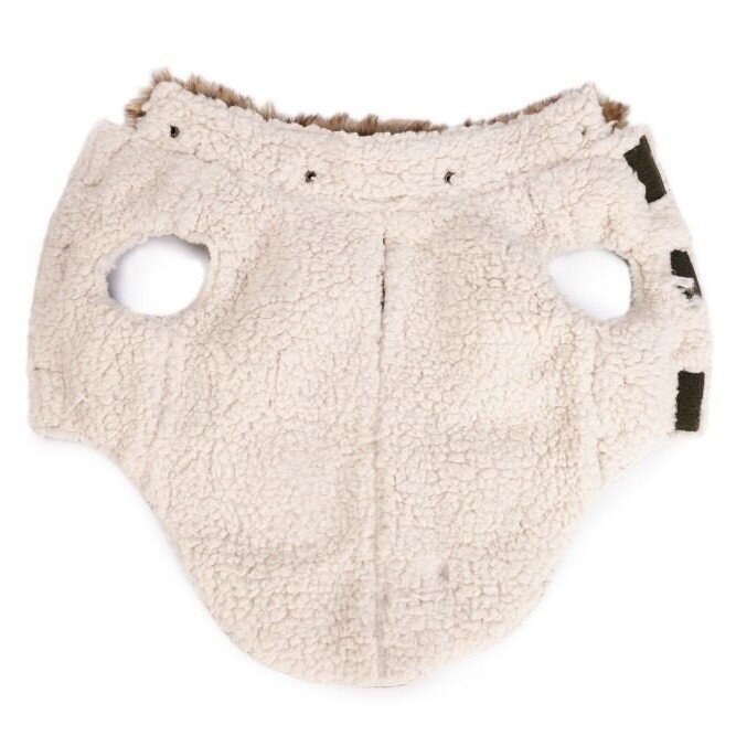 Hundemantel Philos Bild 10