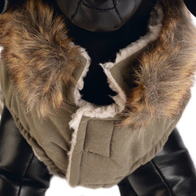 Hundemantel Philos Bild 11