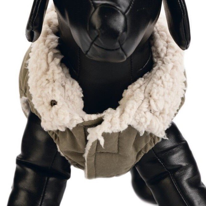 Hundemantel Philos Bild 13