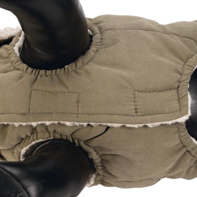 Hundemantel Philos Bild 15