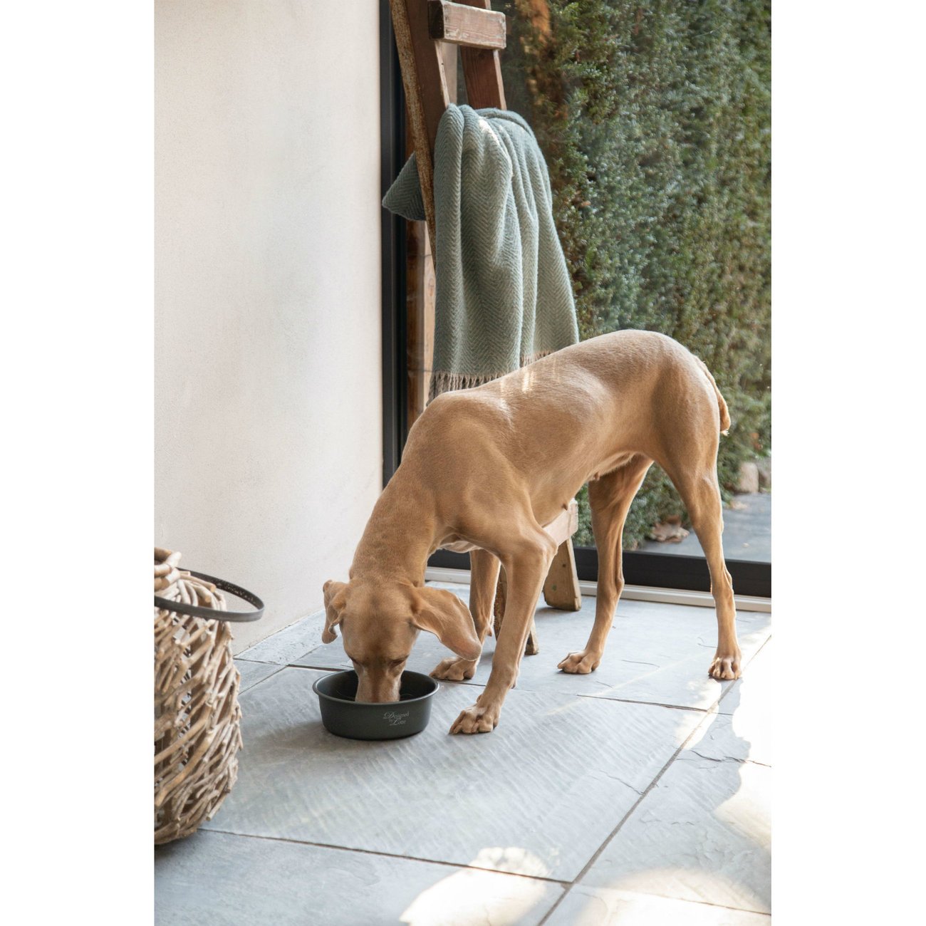 Designed by Lotte Hundenapf Feribo Bild 10