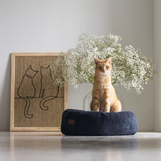 Katzenbett gerippt Bild 4