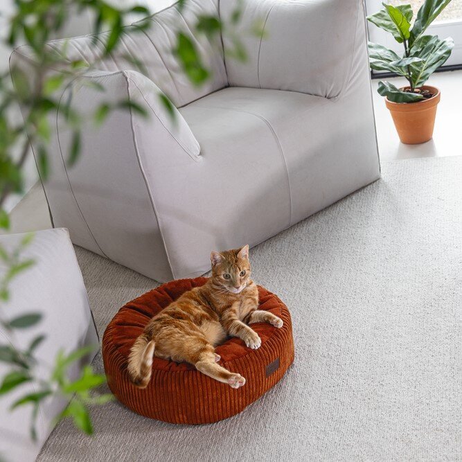 Katzenbett gerippt Bild 9