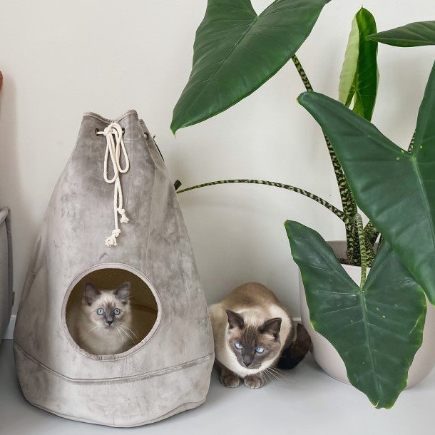Katzenhöhle Beutel Vilar Bild 2