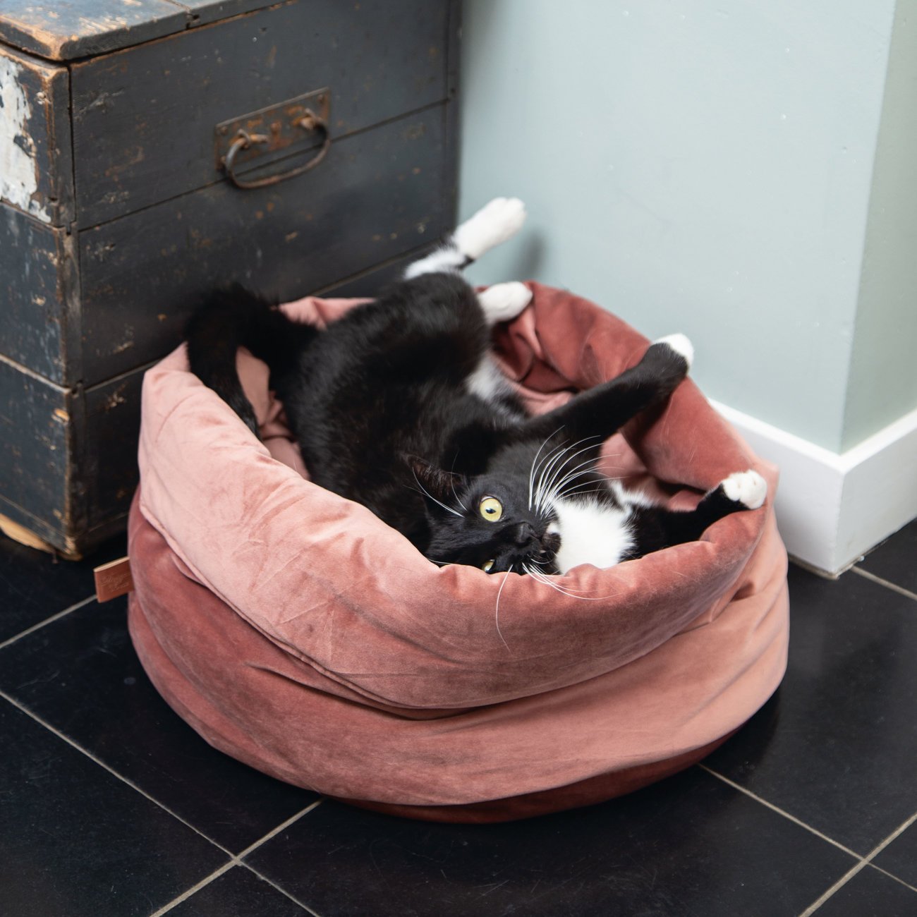 Designed by Lotte Katzenkorb Fluco Bild 2