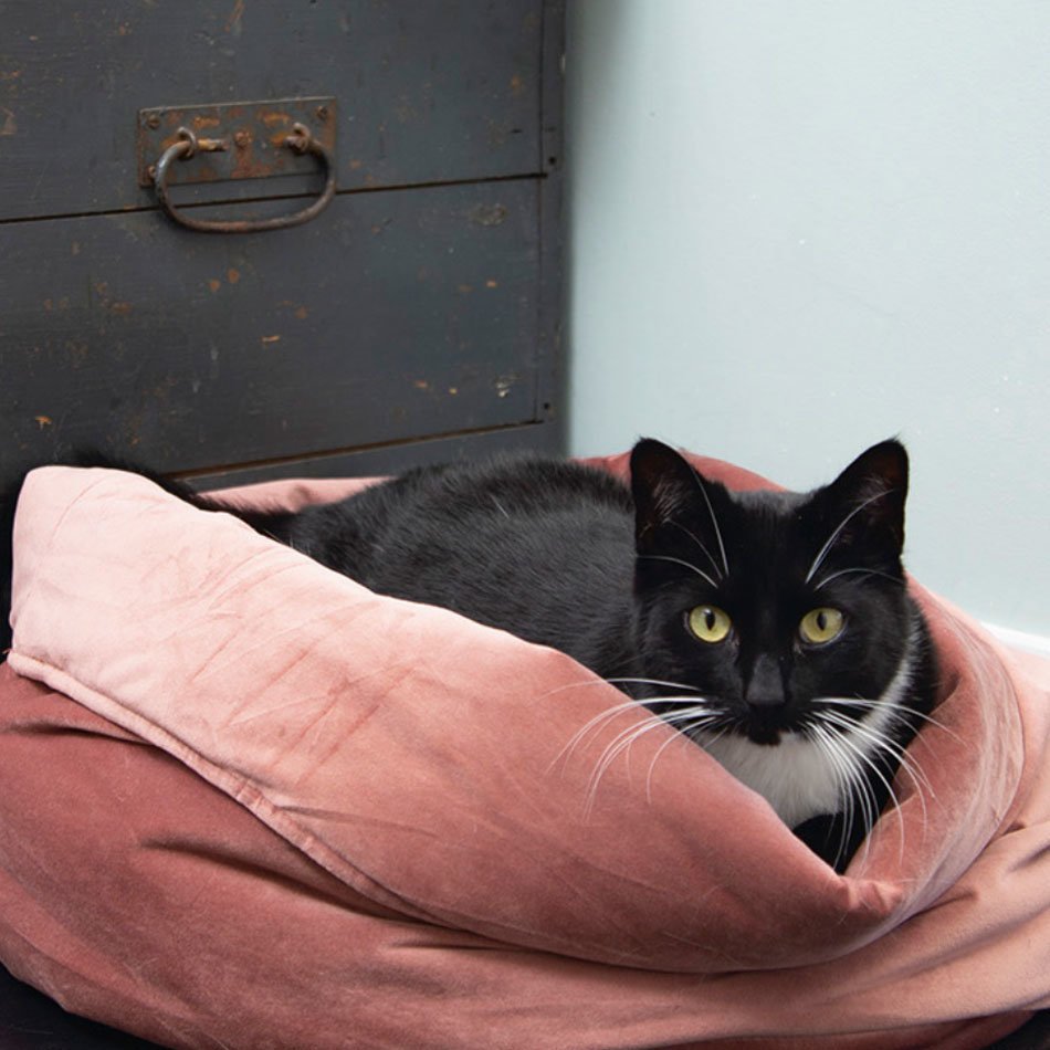 Designed by Lotte Katzenkorb Fluco Bild 3