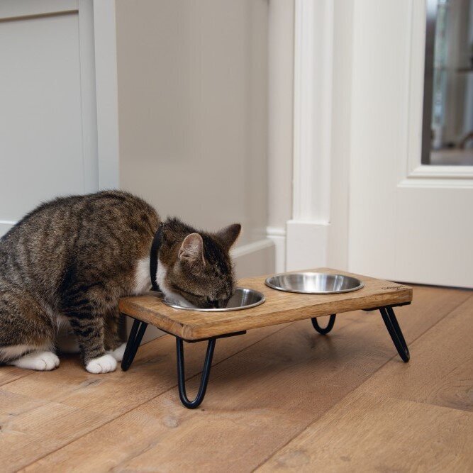 Designed by Lotte Katzennapf Set LINGA Bild 2