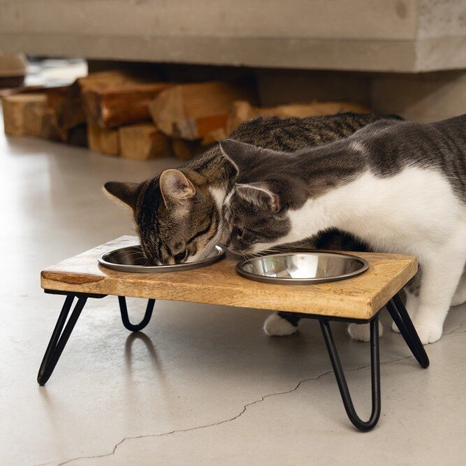 Designed by Lotte Katzennapf Set LINGA Bild 3