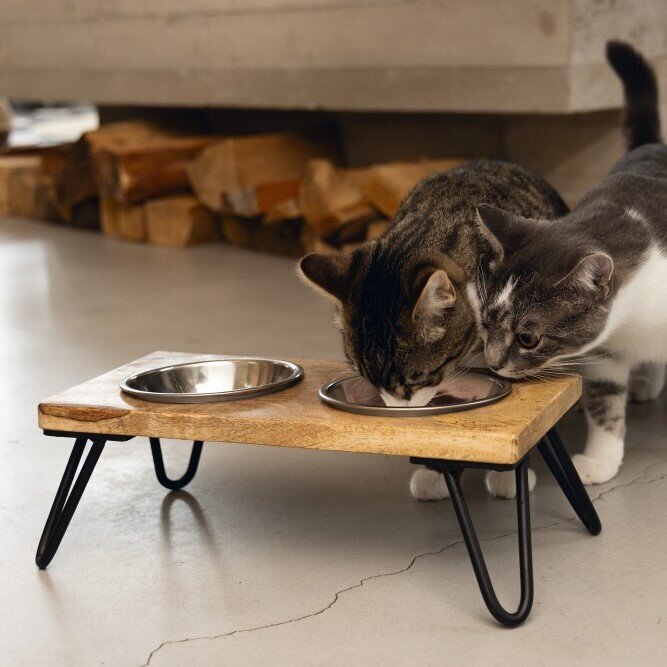 Designed by Lotte Katzennapf Set LINGA Bild 5