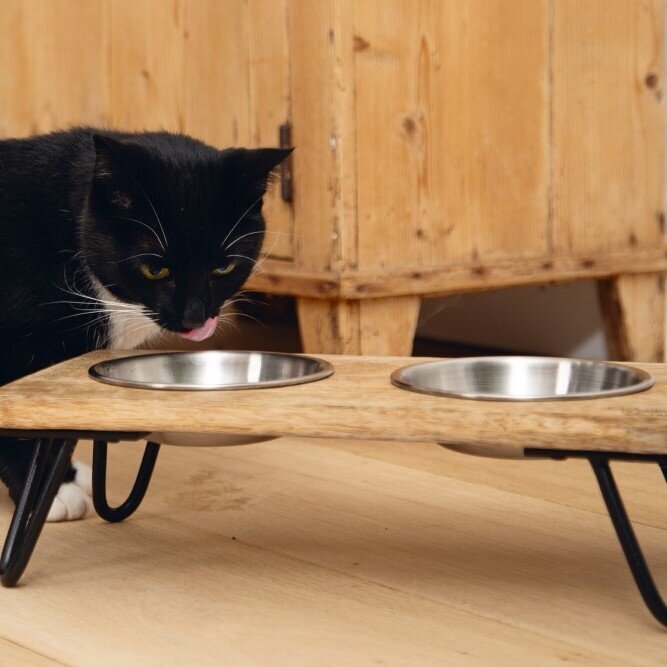 Designed by Lotte Katzennapf Set LINGA Bild 6