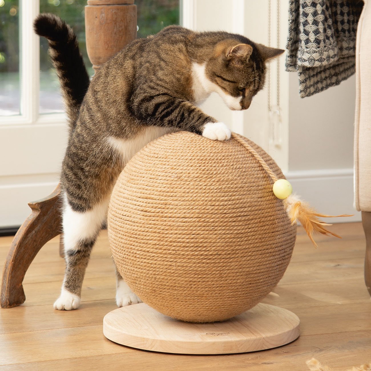 Kratzball Balty Bild 7