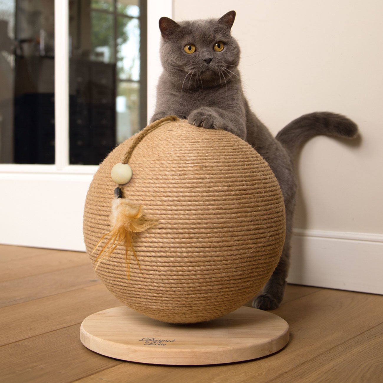 Kratzball Balty Bild 6