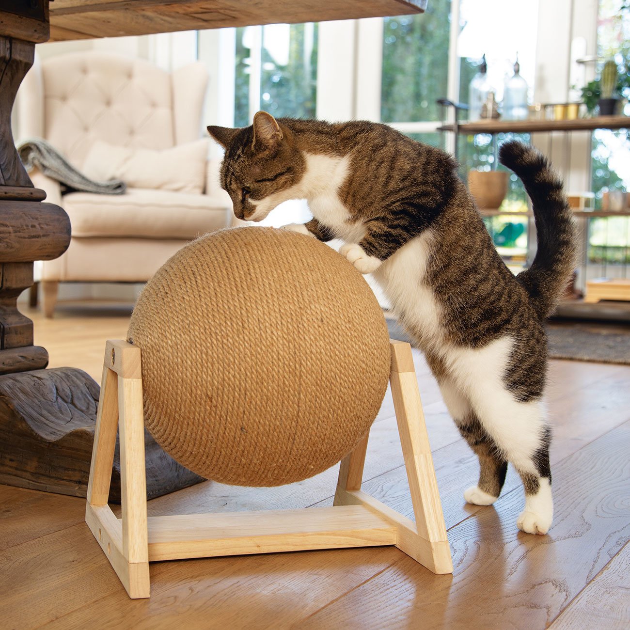 Kratzball Xem mit Fuß Bild 2