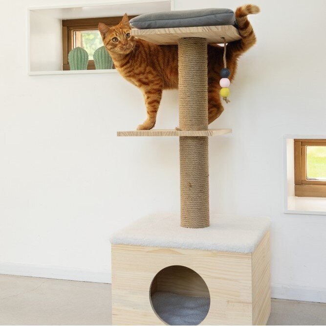 Kratzbaum Kamina Bild 5