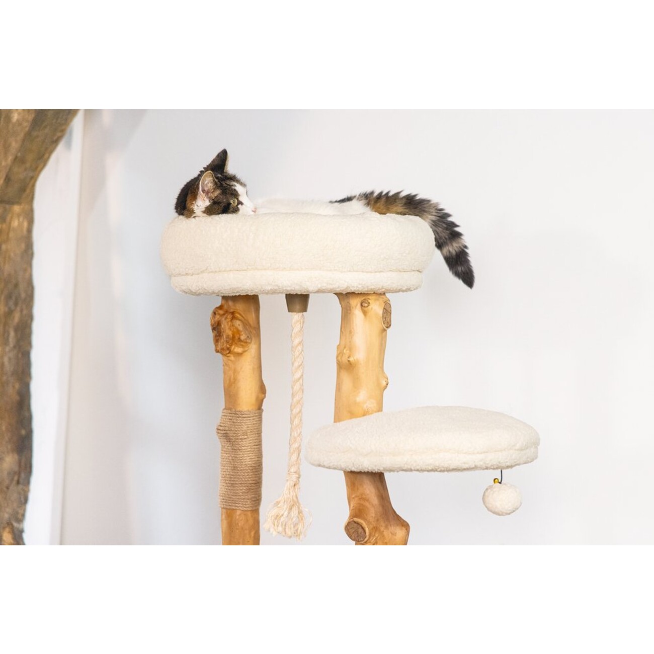 Kratzbaum Vanja Echtholz Bild 2