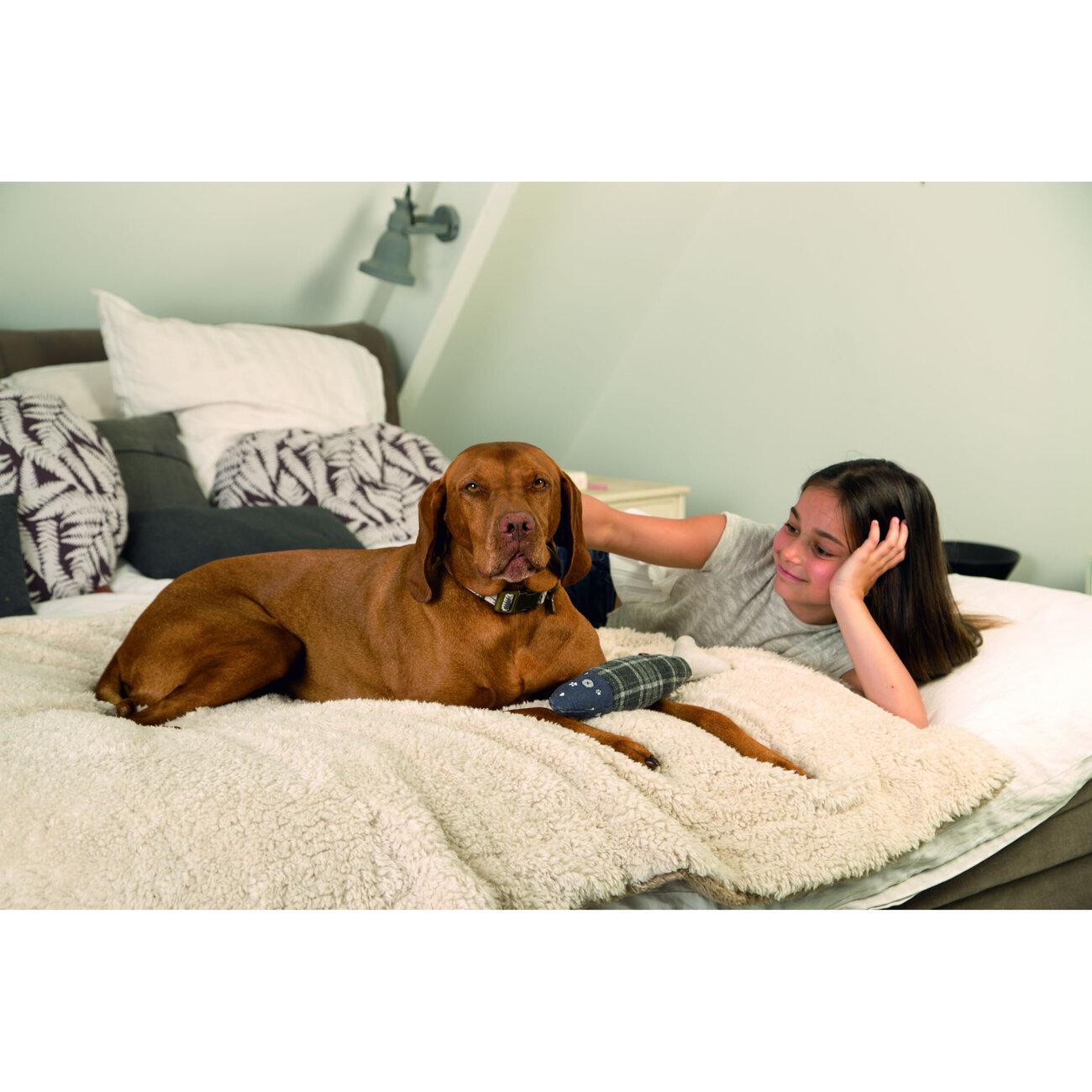 Kuscheldecke Haustierdecke Super Plaid Wush Bild 4