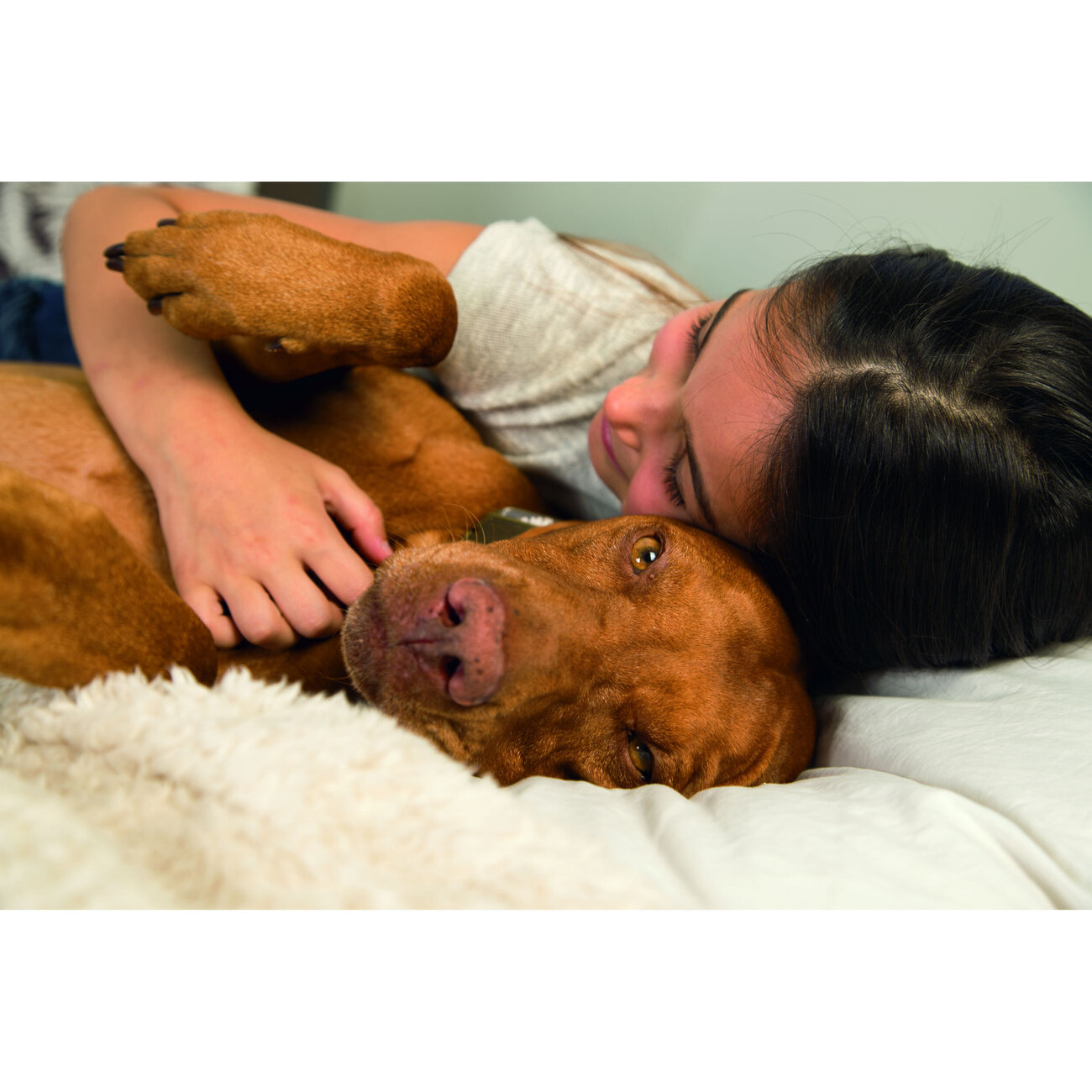 Kuscheldecke Haustierdecke Super Plaid Wush Bild 5