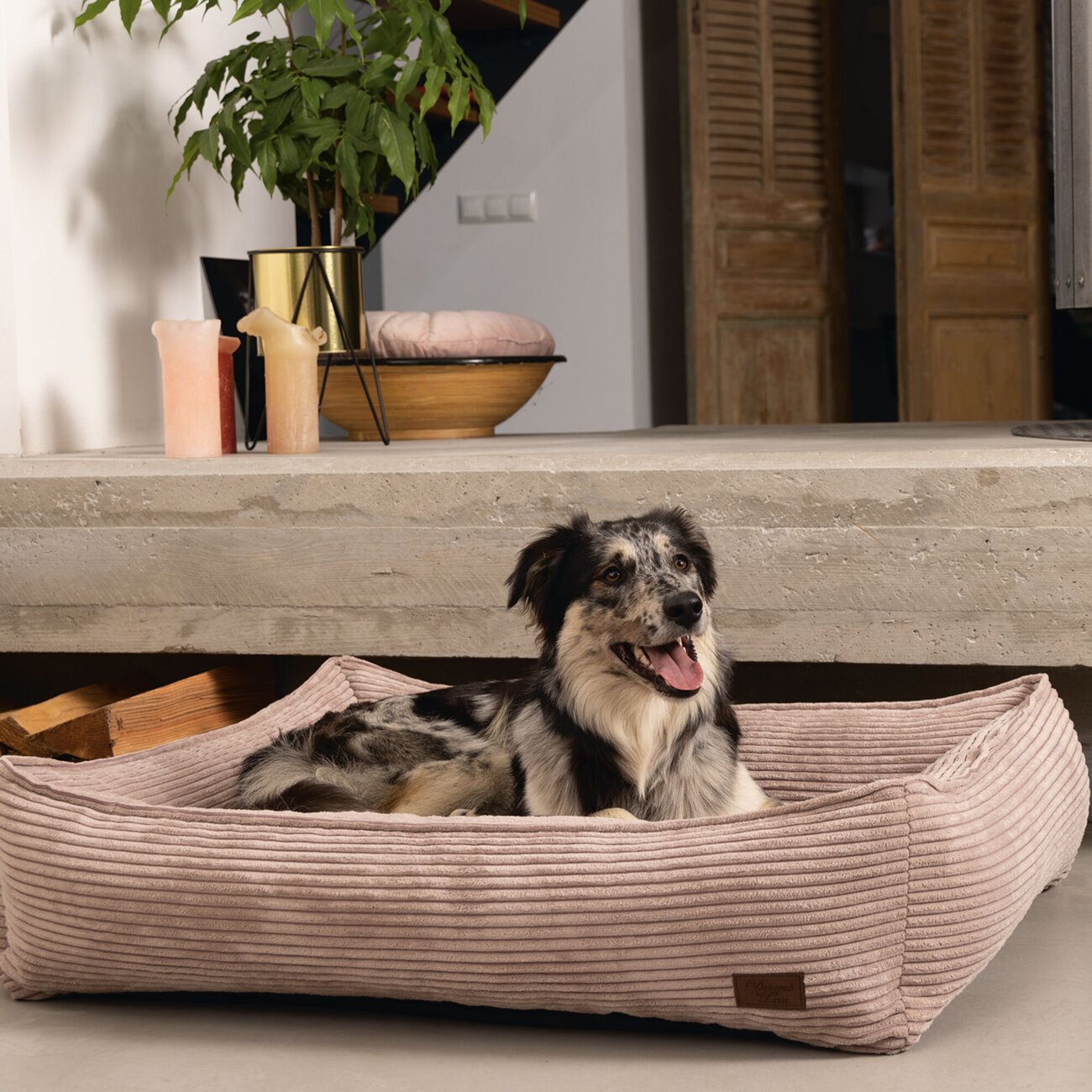 Haustier Liegebett Ribbed Soft Bild 4