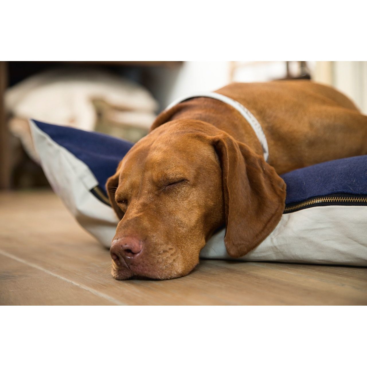 Designed by Lotte Loungekissen Kibo Bild 4