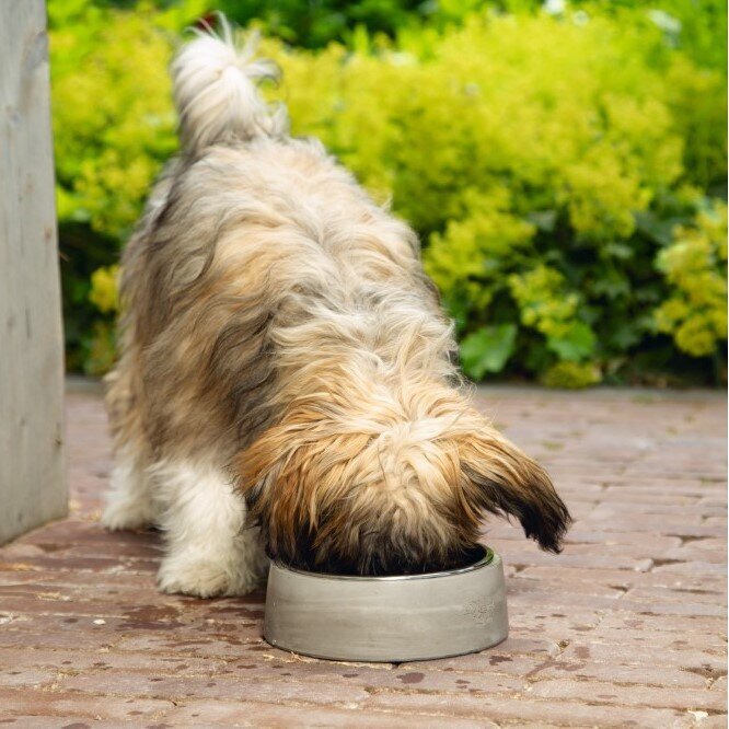 Designed by Lotte Beton Napf RIBOCO Bild 2