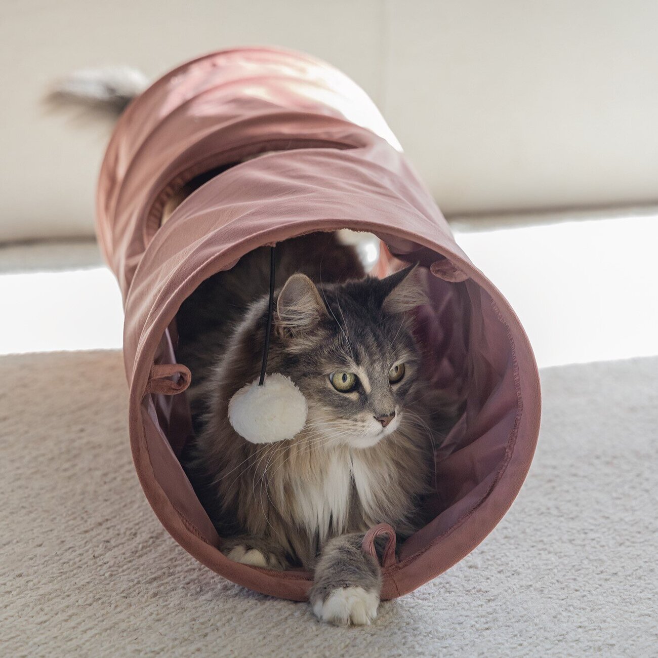 Samtig weicher Katzentunnel Cylla Bild 2