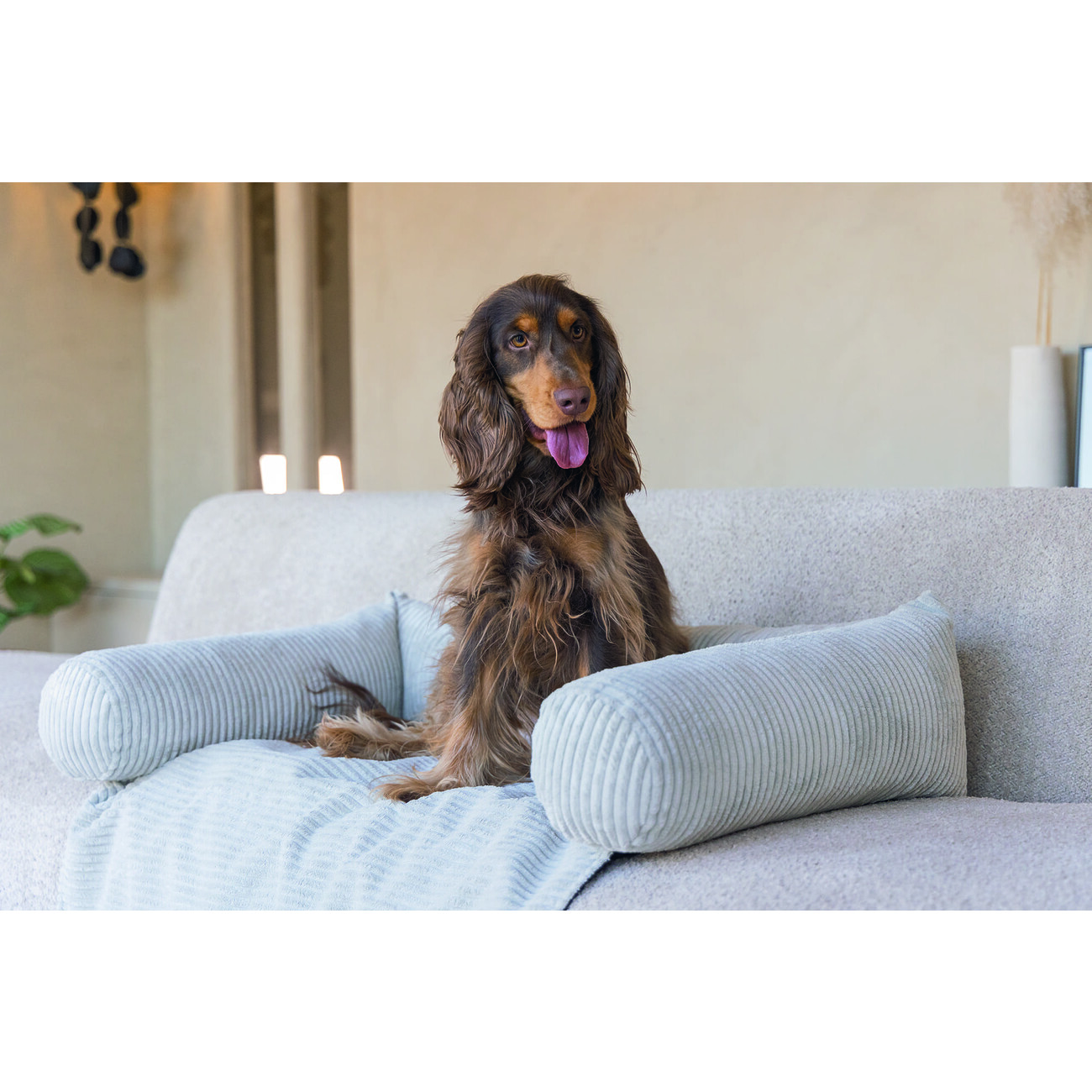 Sofa Hundekissen, Sofakissen für Hunde gerippt Bild 6