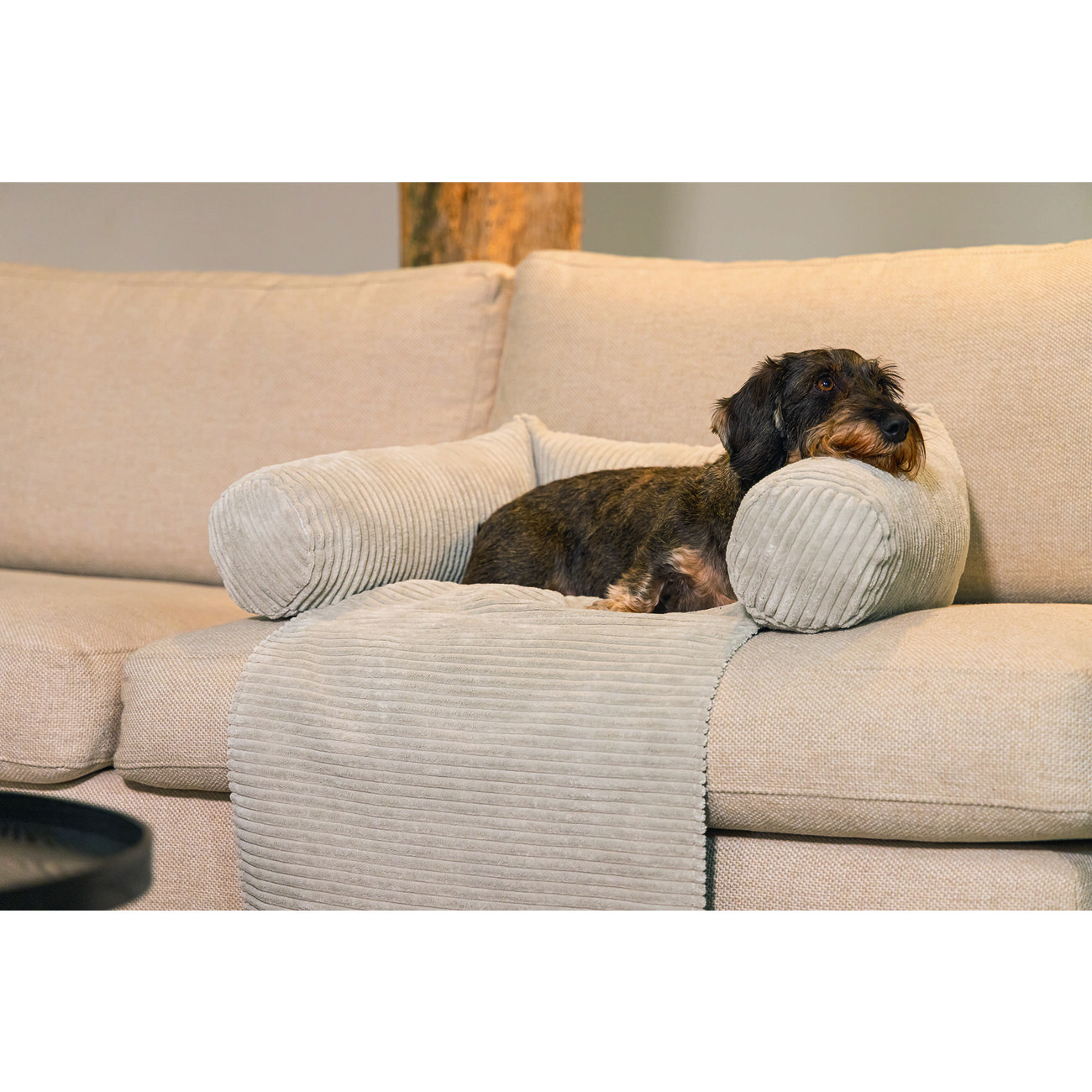Sofa Hundekissen, Sofakissen für Hunde gerippt Bild 8