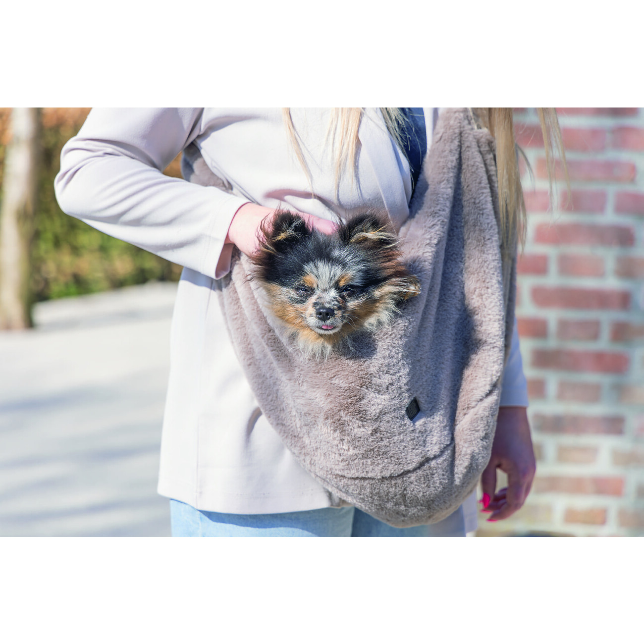 Tragetasche Hund Laki Bild 6