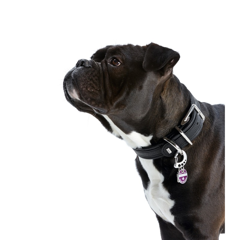 Designkarabiner Easy Change Bild 3