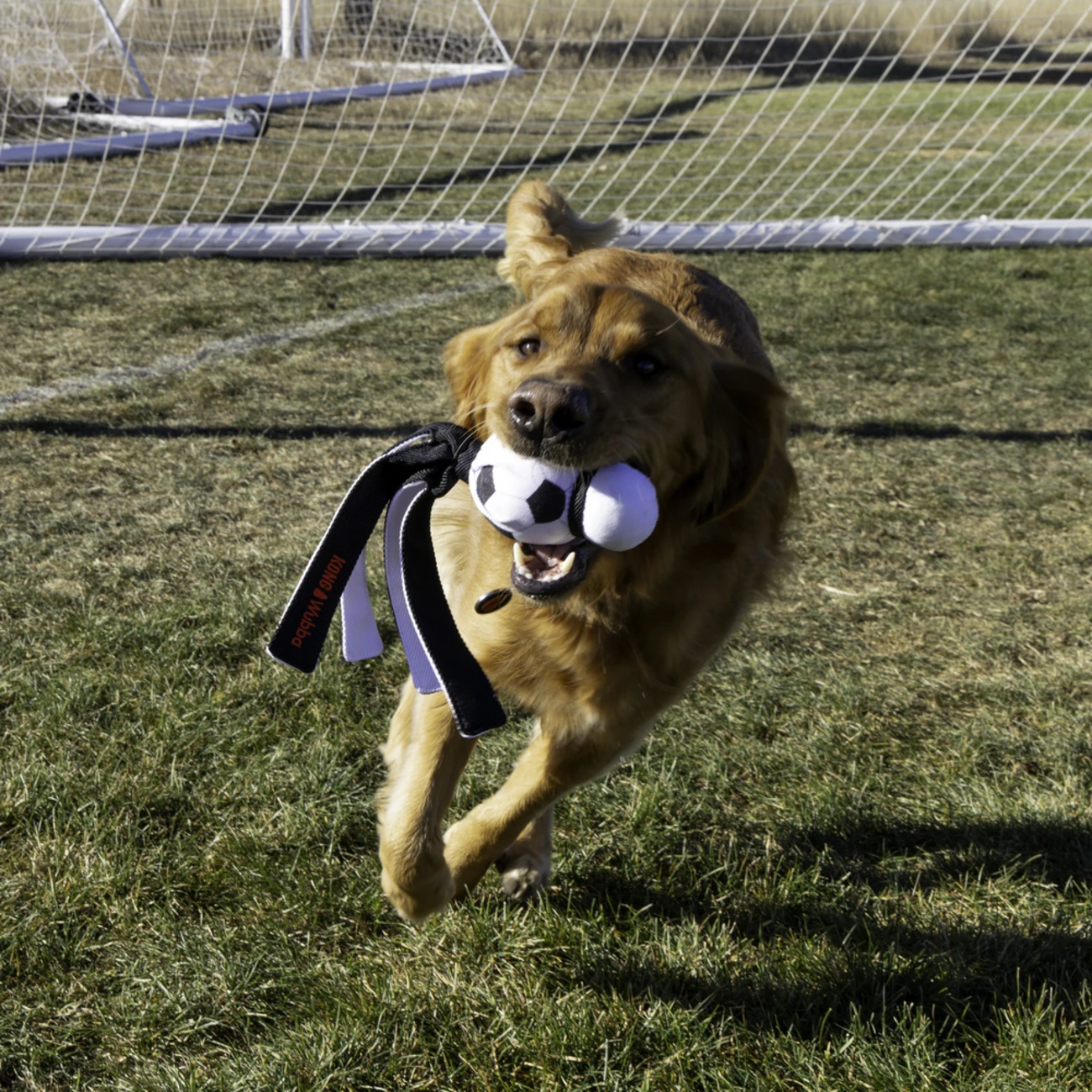 KONG Wubba Sports Hundespielzeug – Dein Partner für actionreiche Spiele Bild 8