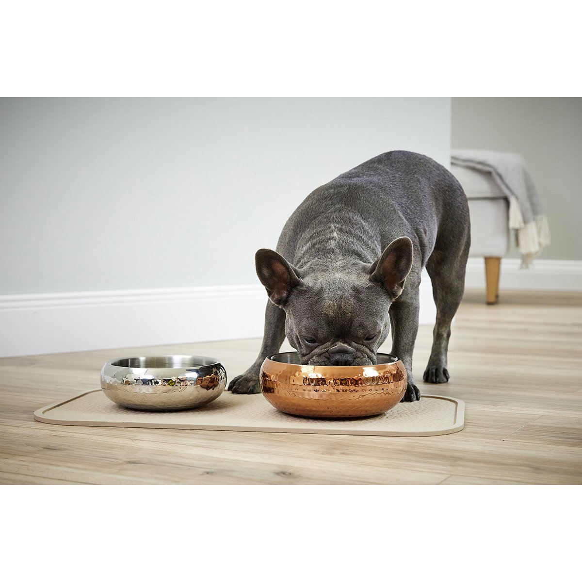 Diner Steel Hundenapf Bild 4