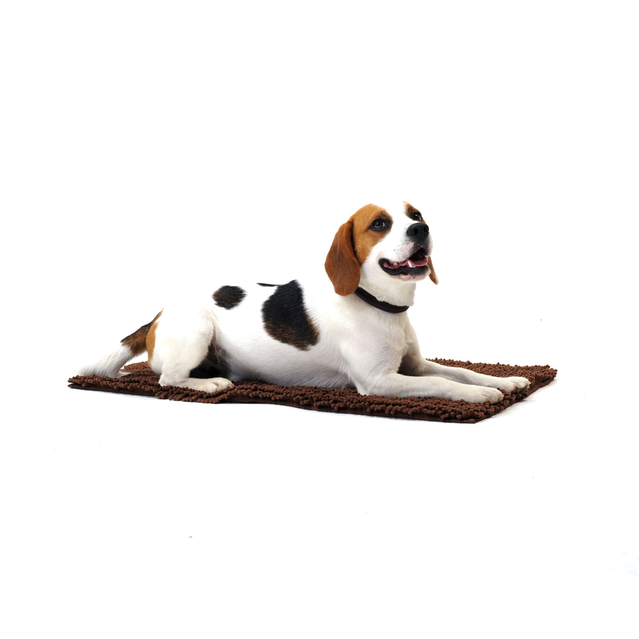 Dirty Dog Doormat Schmutzfangmatte für Hunde Auslaufmodell Bild 2