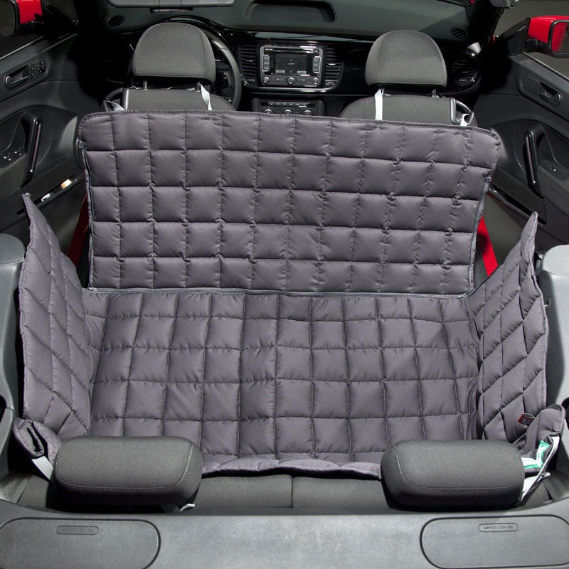 Doctor Bark 2-Sitzer 2-Türer Cabrio Autodecke Bild 2