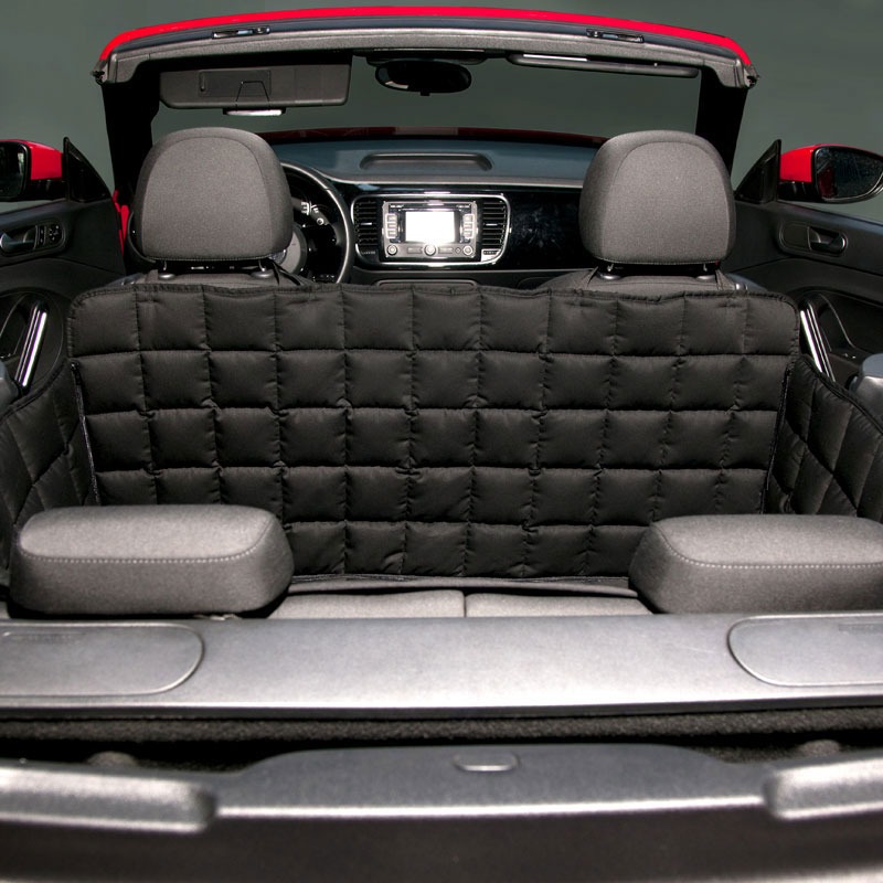 Doctor Bark 2-Sitzer 2-Türer Cabrio Autodecke Bild 6