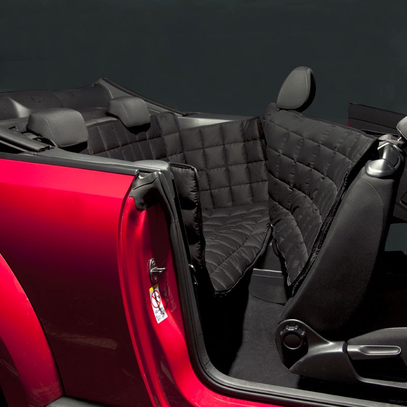 Doctor Bark 2-Sitzer 2-Türer Cabrio Autodecke Bild 8