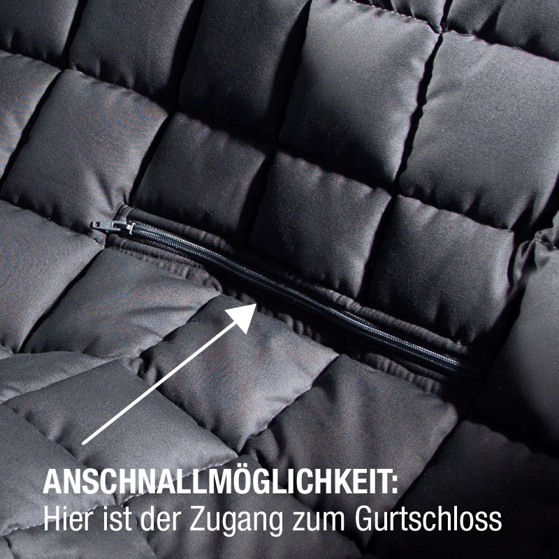 Doctor Bark 2-Sitzer 2-Türer Cabrio Autodecke Bild 10