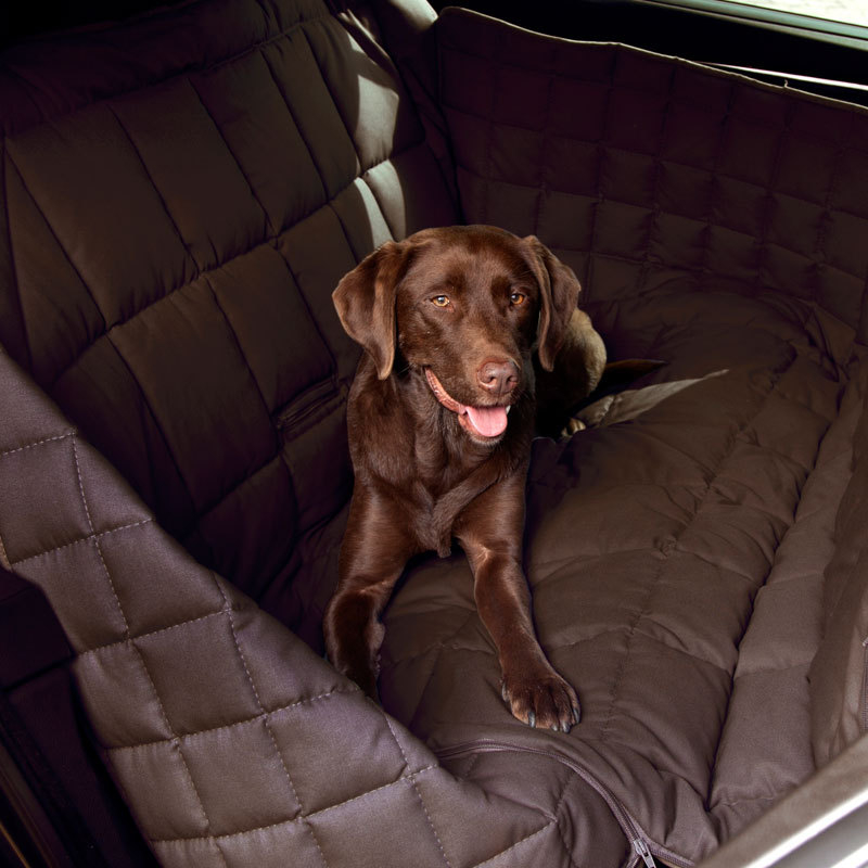 Doctor Bark Autodecke 3-Sitz Rücksitz Bild 10