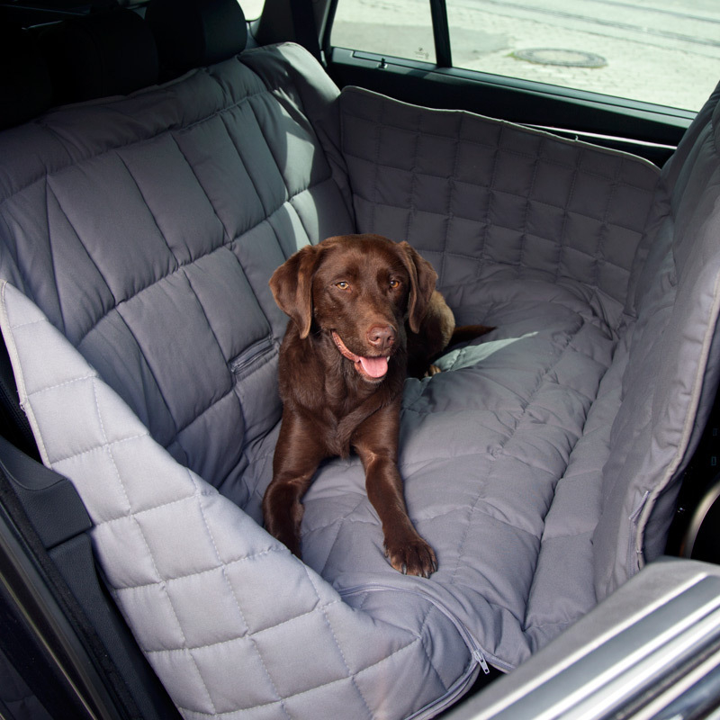 Doctor Bark Autodecke 3-Sitz Rücksitz Bild 2