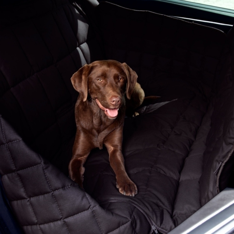 Doctor Bark Autodecke 3-Sitz Rücksitz Bild 16