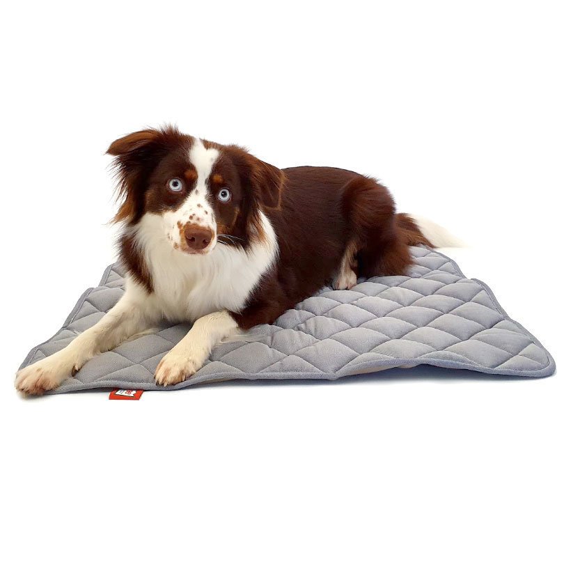 Doctor Bark Fleece Wendedecke für Hunde Bild 6