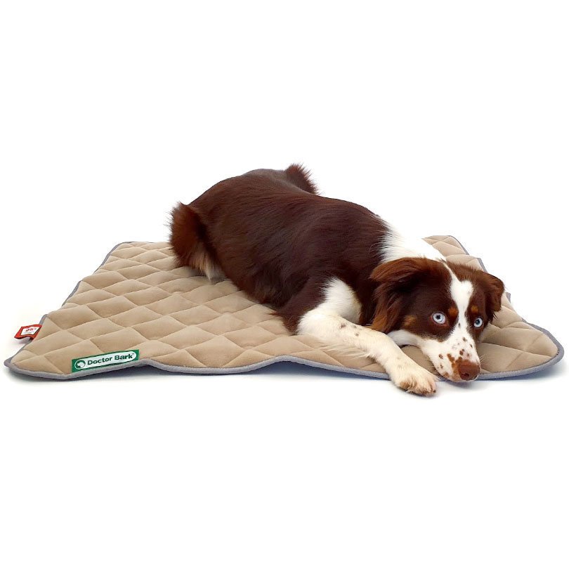 Doctor Bark Fleece Wendedecke für Hunde Bild 2