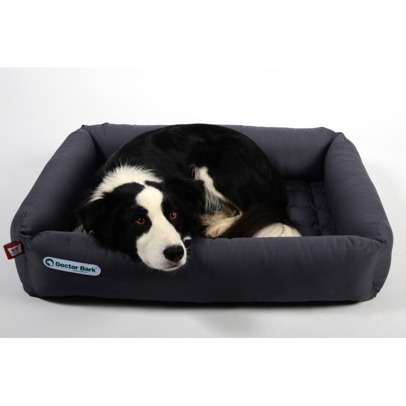 dr foster dog beds