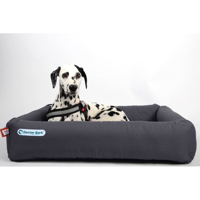 Doctor Bark Hundebett Bild 4