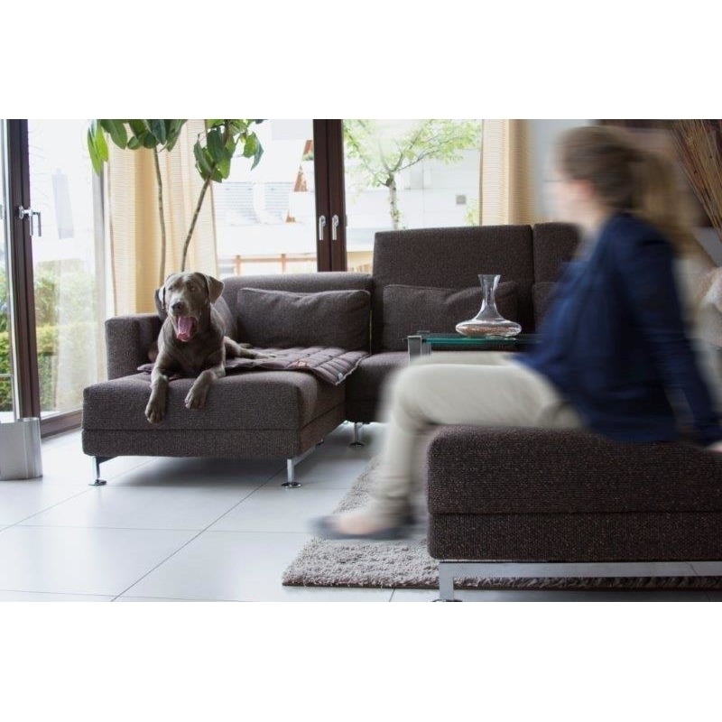 Doctor Bark Hundedecke Bild 12