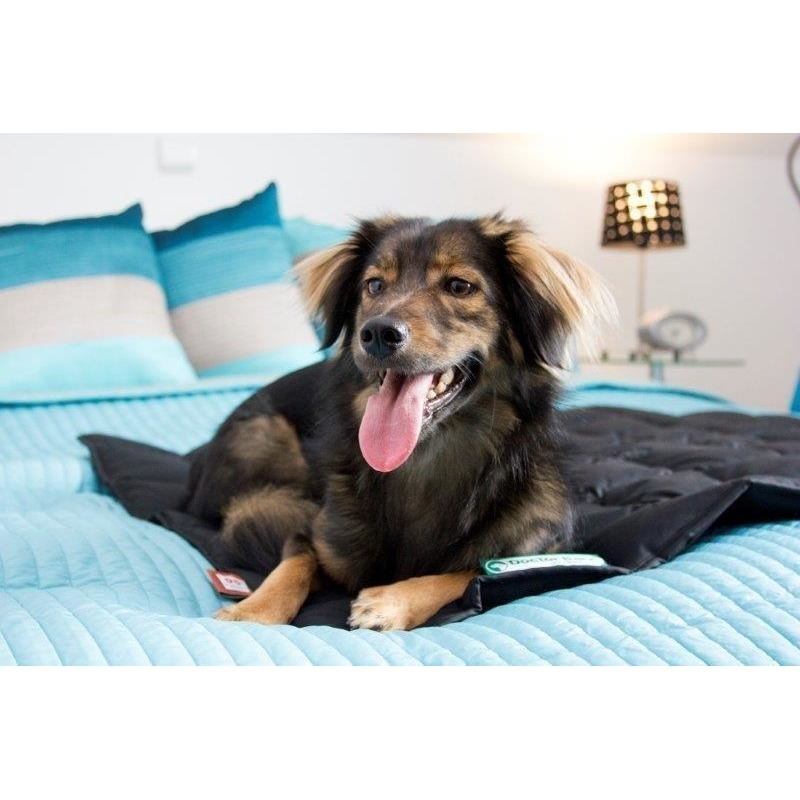 Doctor Bark Hundedecke Bild 21