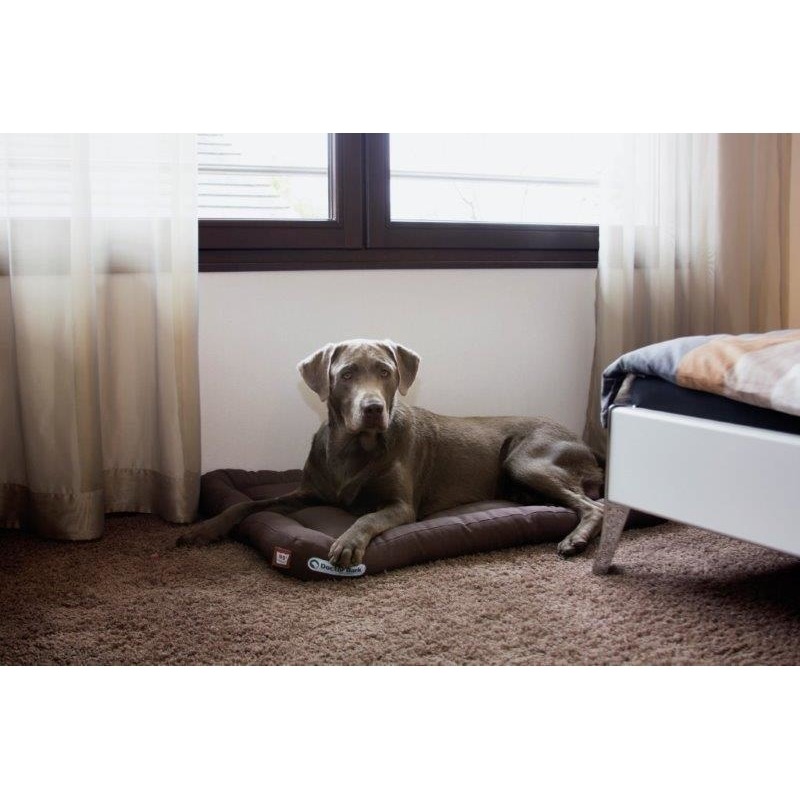 Doctor Bark Hundekissen Bild 11